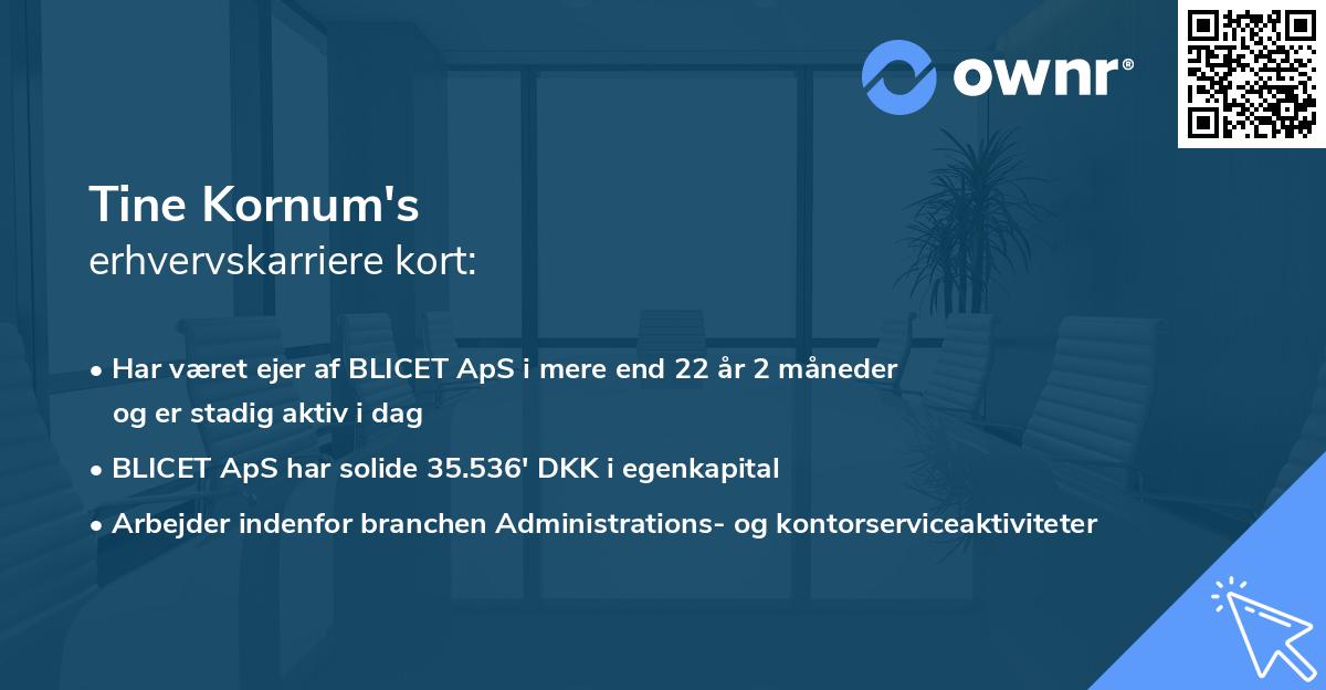 Tine Kornum's erhvervskarriere kort