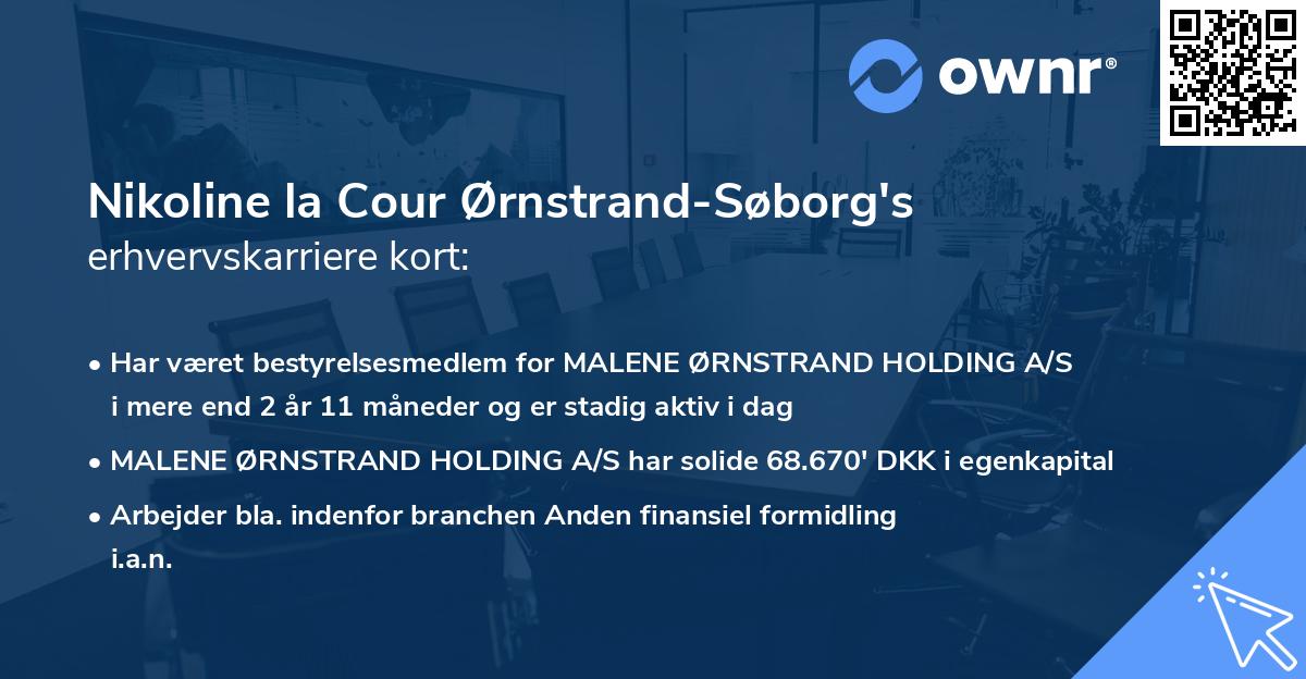 Nikoline la Cour Ørnstrand-Søborg's erhvervskarriere kort
