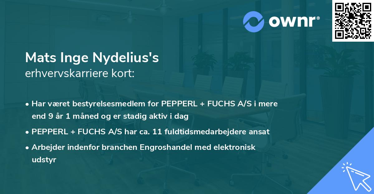 Mats Inge Nydelius's erhvervskarriere kort