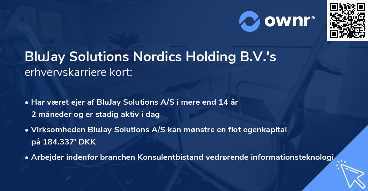 BluJay Solutions Nordics Holding B.V.'s erhvervskarriere kort