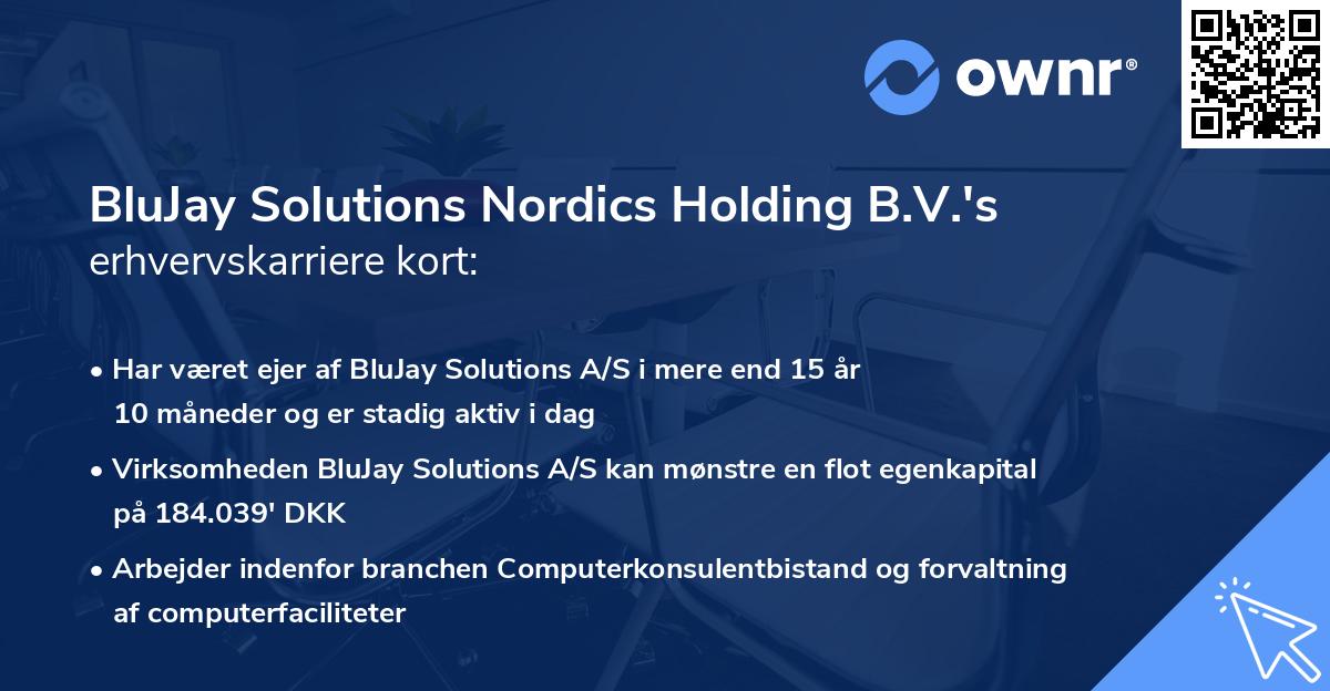 BluJay Solutions Nordics Holding B.V.'s erhvervskarriere kort