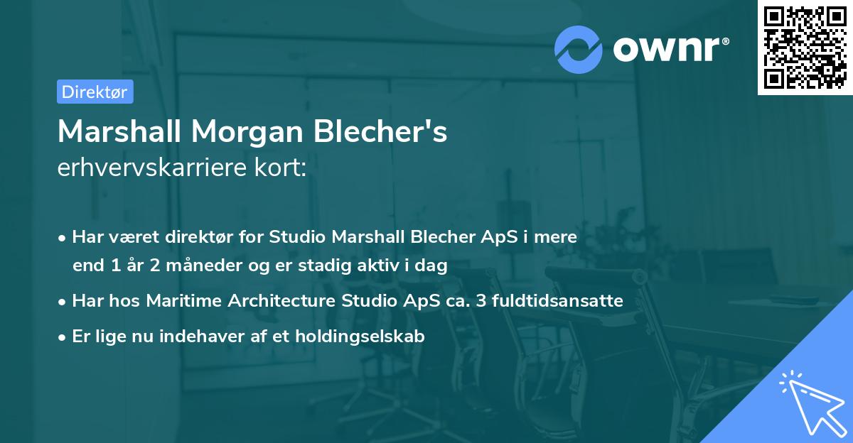 Marshall Morgan Blecher's erhvervskarriere kort