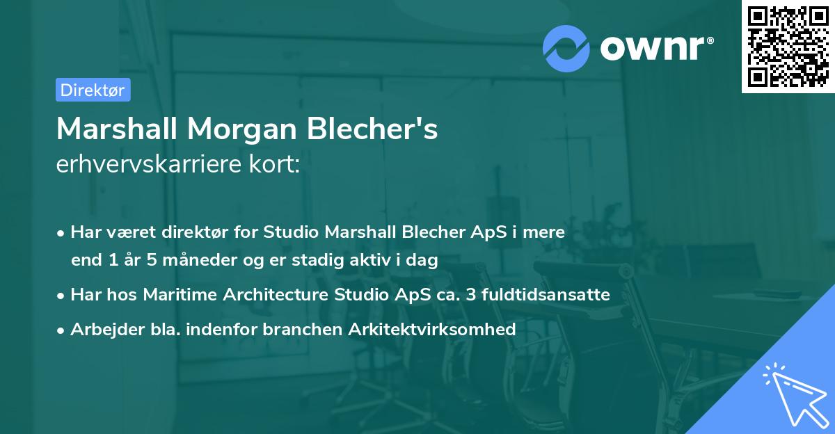 Marshall Morgan Blecher's erhvervskarriere kort