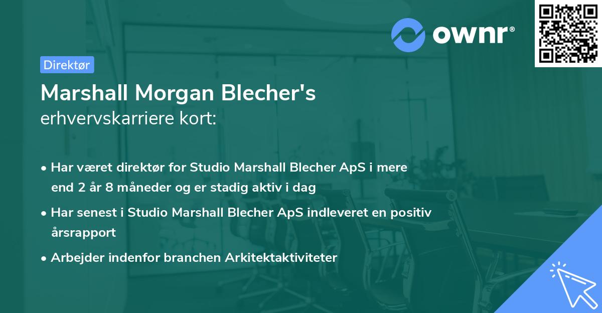 Marshall Morgan Blecher's erhvervskarriere kort