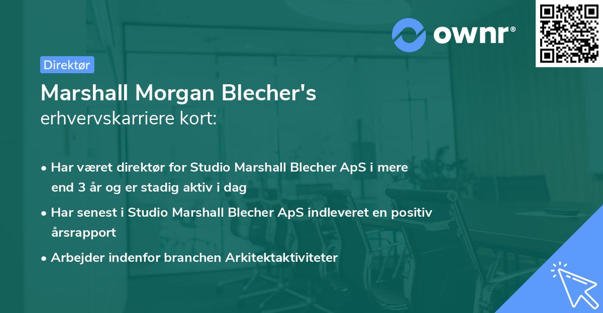 Marshall Morgan Blecher's erhvervskarriere kort