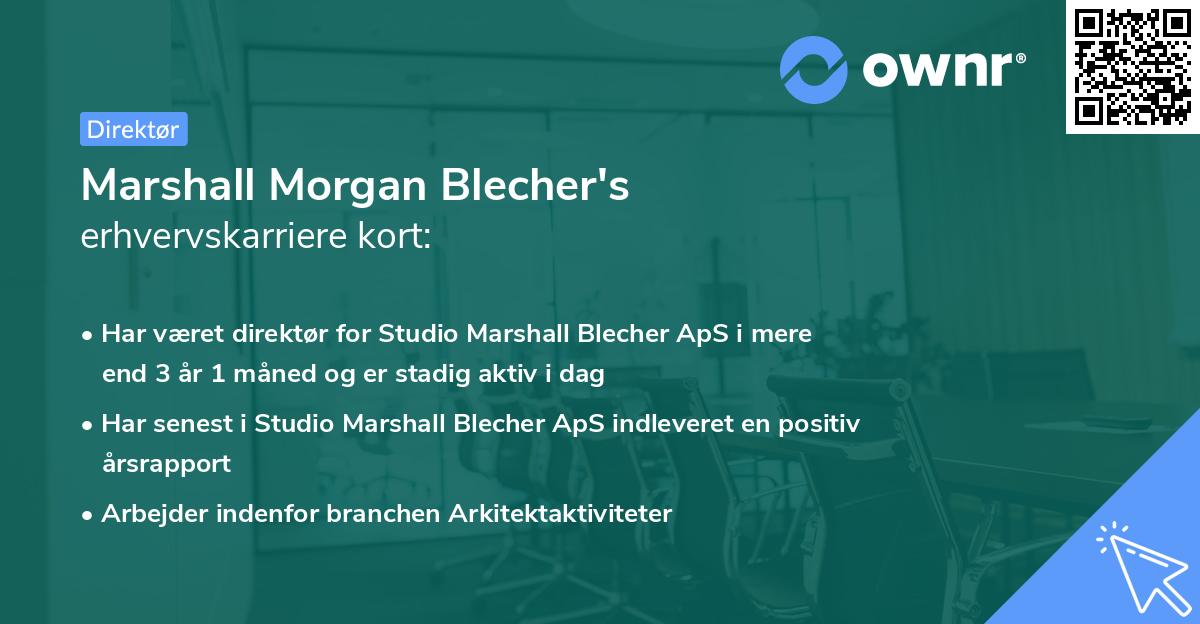 Marshall Morgan Blecher's erhvervskarriere kort