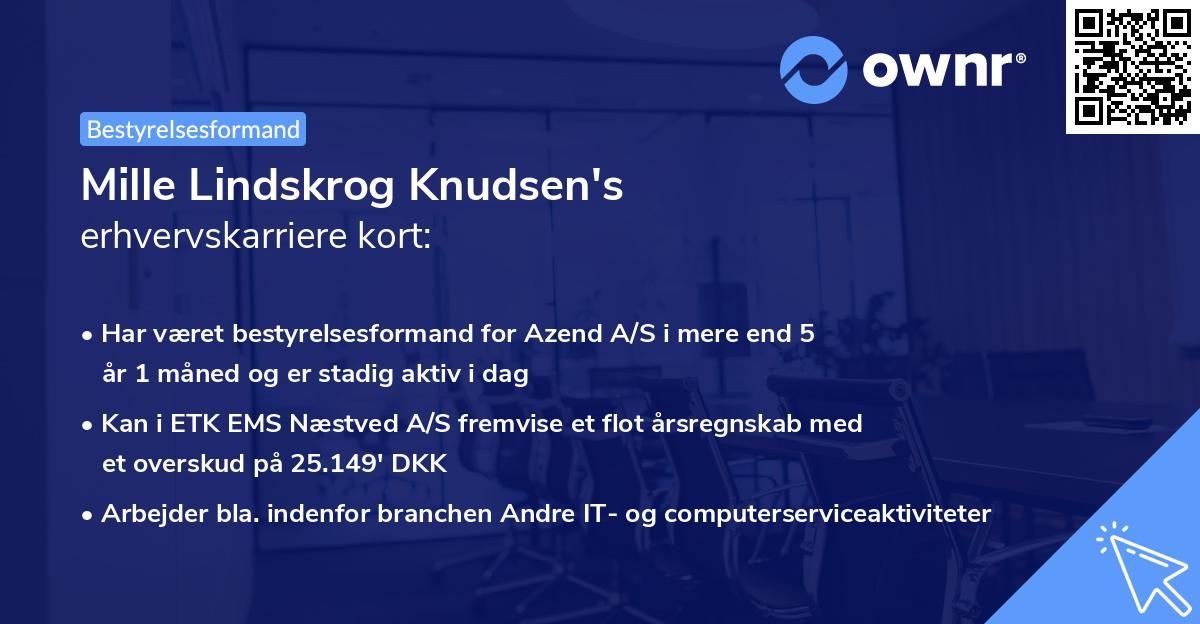 Mille Lindskrog Knudsen's erhvervskarriere kort