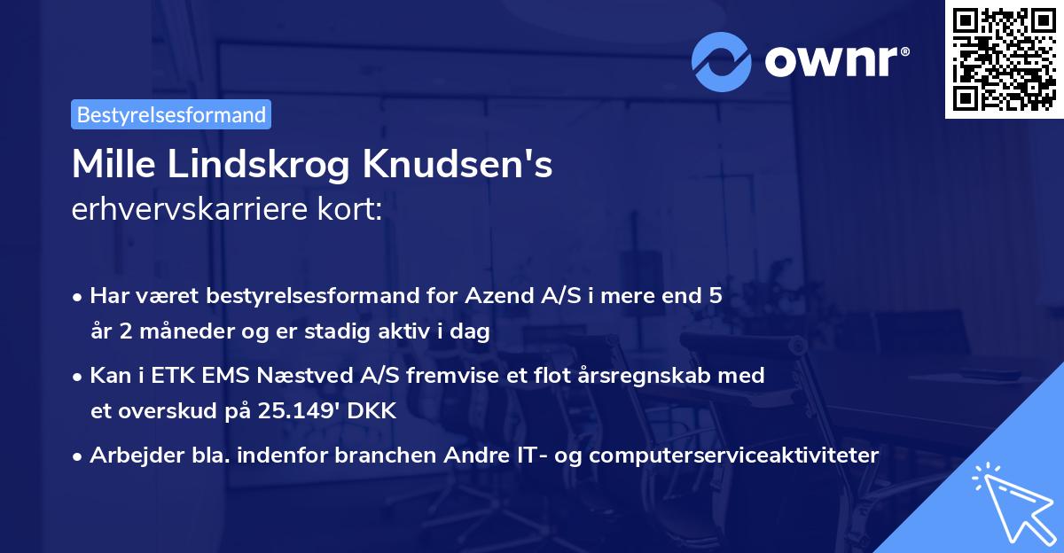 Mille Lindskrog Knudsen's erhvervskarriere kort