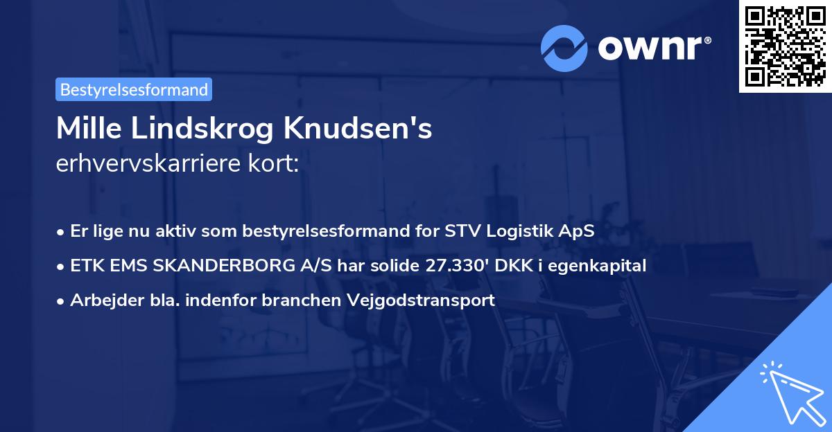 Mille Lindskrog Knudsen's erhvervskarriere kort