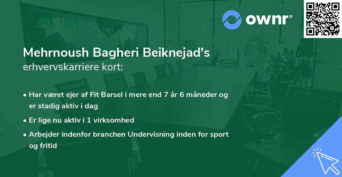 Mehrnoush Bagheri Beiknejad's erhvervskarriere kort