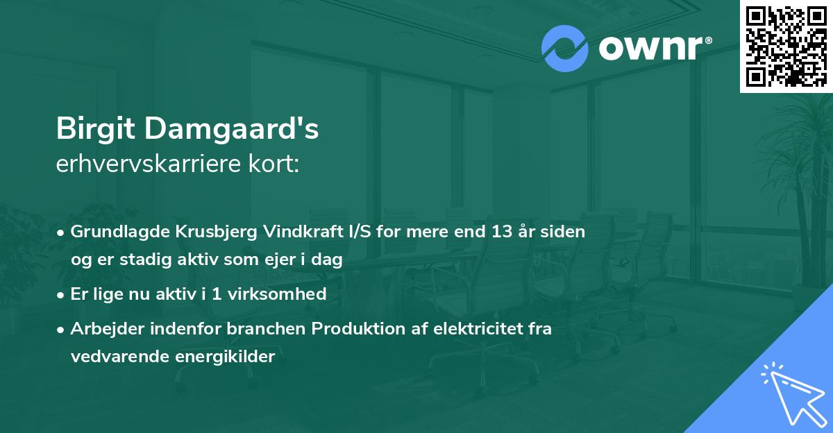 Birgit Damgaard's erhvervskarriere kort