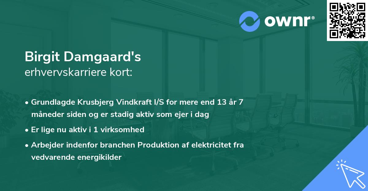Birgit Damgaard's erhvervskarriere kort