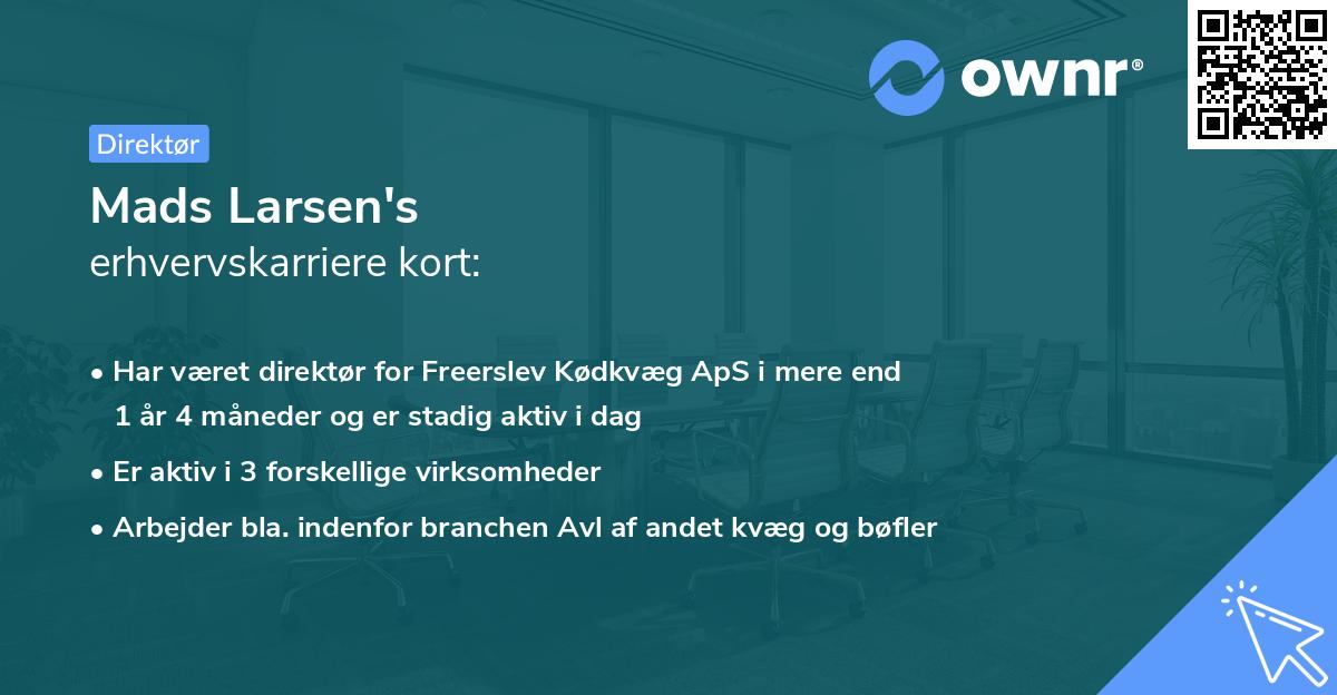 Mads Larsen's erhvervskarriere kort