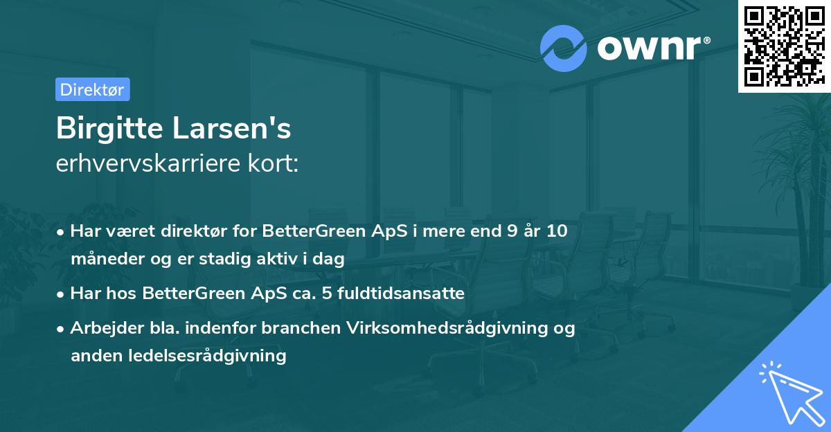 Birgitte Larsen's erhvervskarriere kort