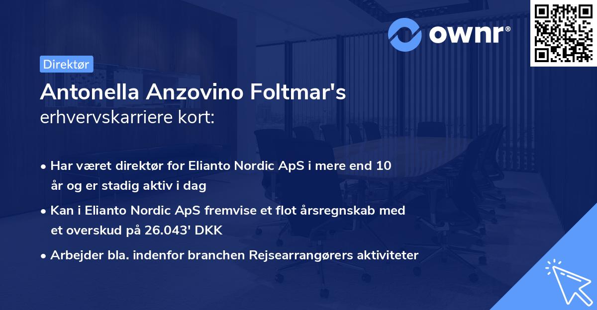 Antonella Anzovino Foltmar's erhvervskarriere kort