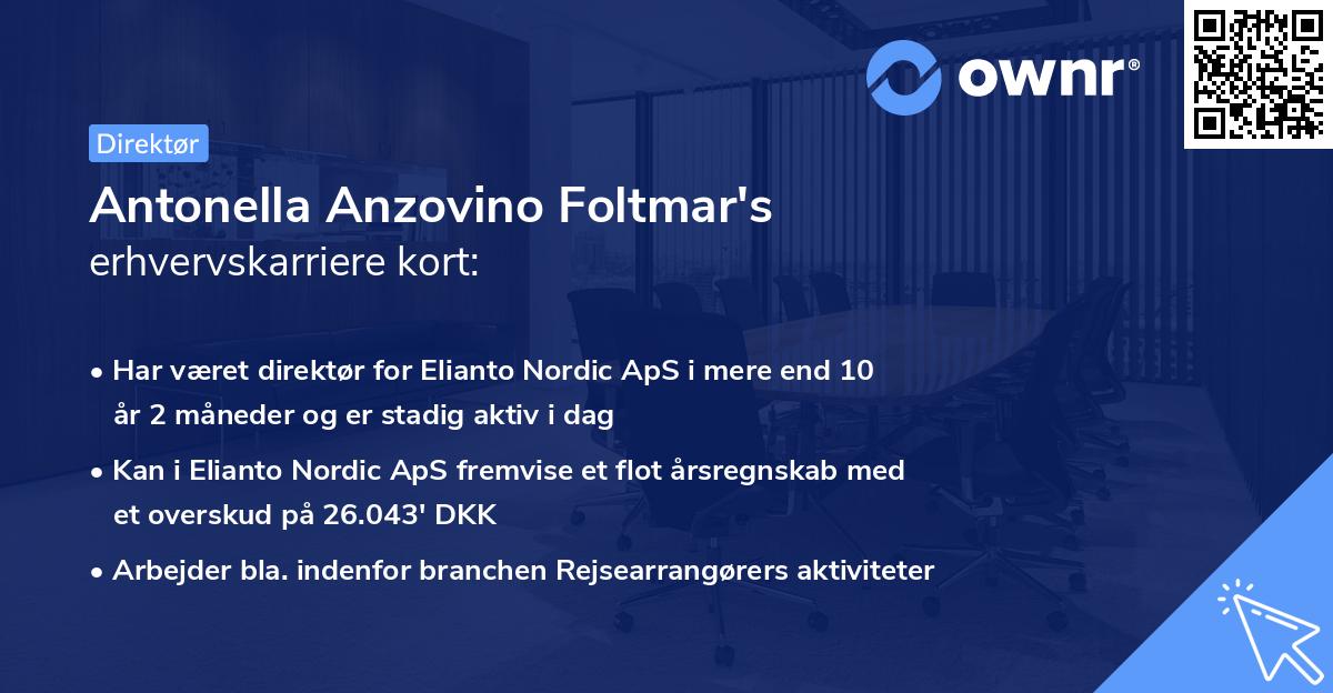 Antonella Anzovino Foltmar's erhvervskarriere kort