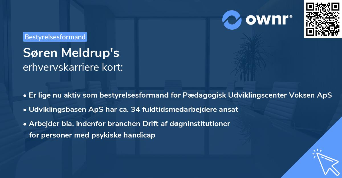 Søren Meldrup's erhvervskarriere kort