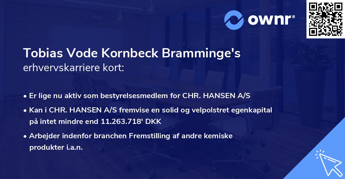 Tobias Vode Kornbeck Bramminge's erhvervskarriere kort