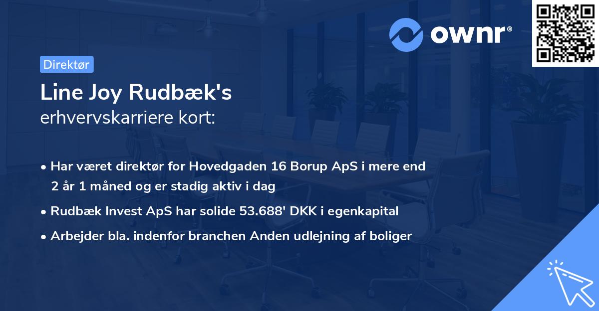 Line Joy Rudbæk's erhvervskarriere kort