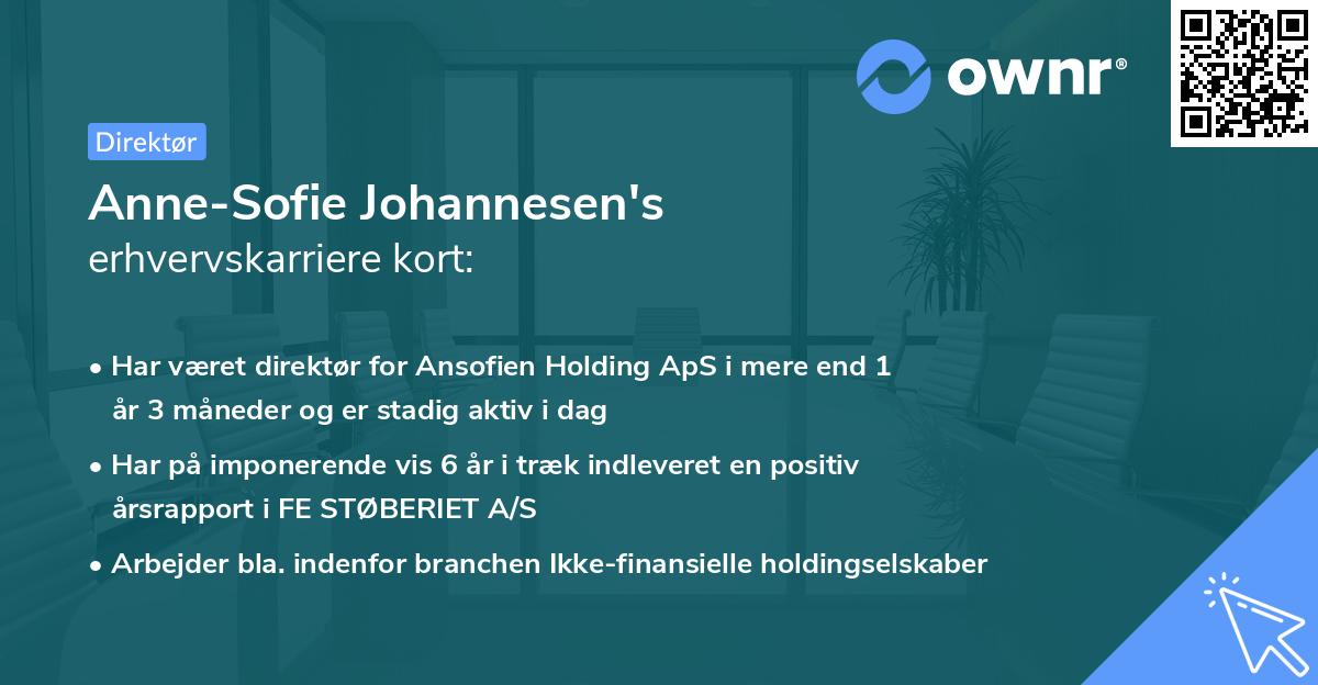 Anne-Sofie Johannesen's erhvervskarriere kort