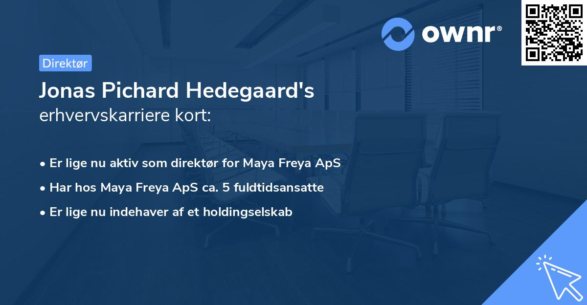 Jonas Pichard Hedegaard's erhvervskarriere kort