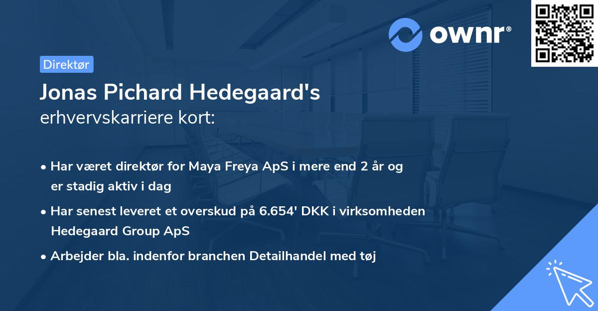 Jonas Pichard Hedegaard's erhvervskarriere kort