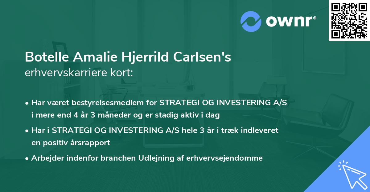 Botelle Amalie Hjerrild Carlsen's erhvervskarriere kort