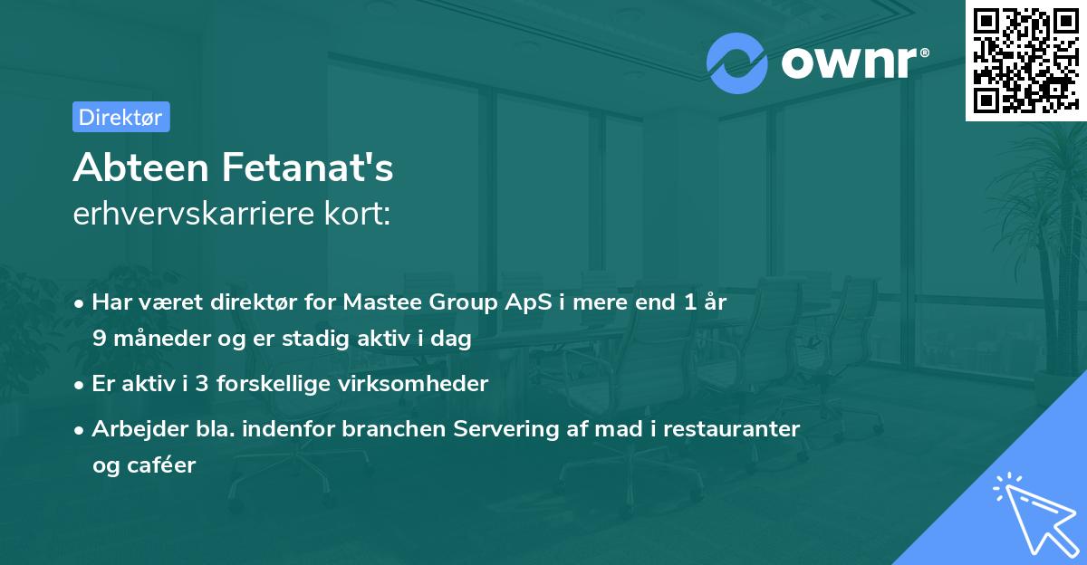 Abteen Fetanat's erhvervskarriere kort
