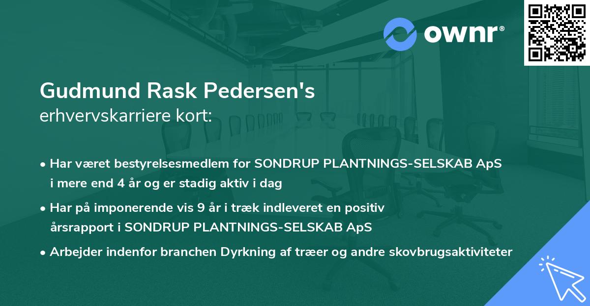 Gudmund Rask Pedersen's erhvervskarriere kort