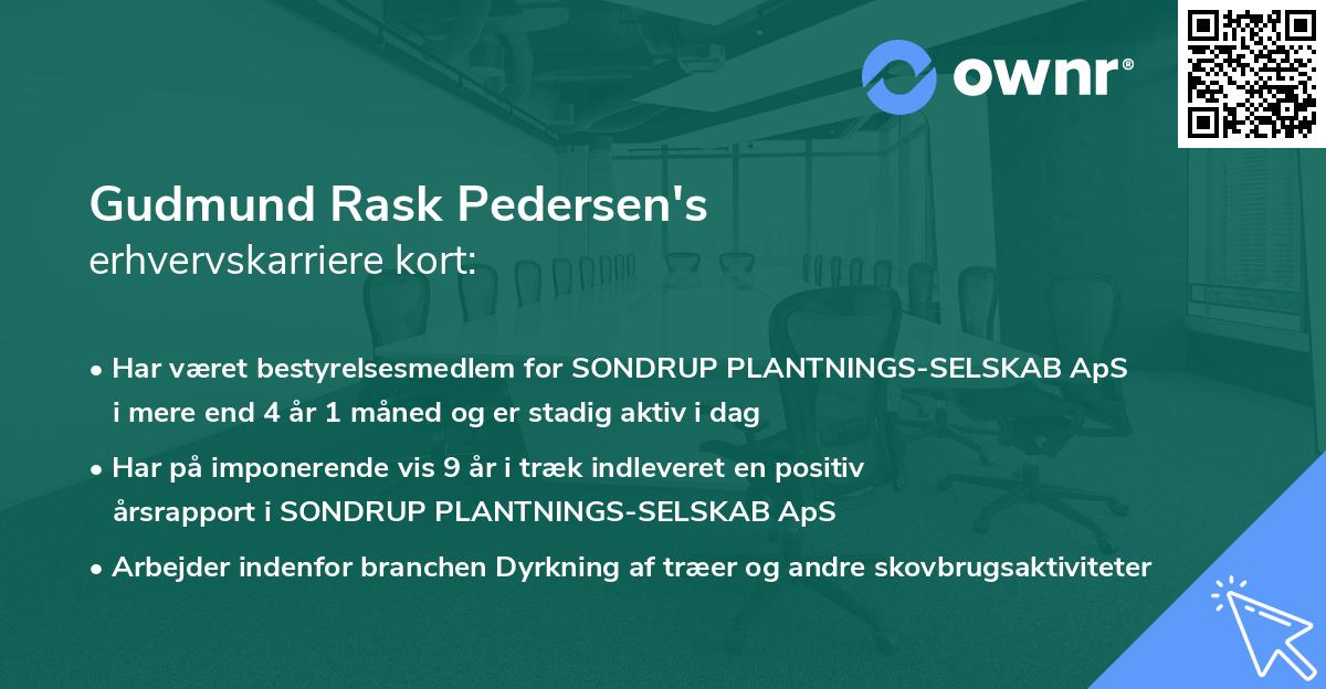 Gudmund Rask Pedersen's erhvervskarriere kort