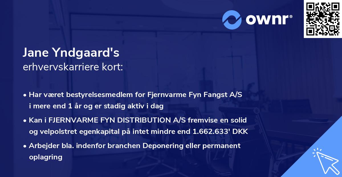 Jane Yndgaard's erhvervskarriere kort