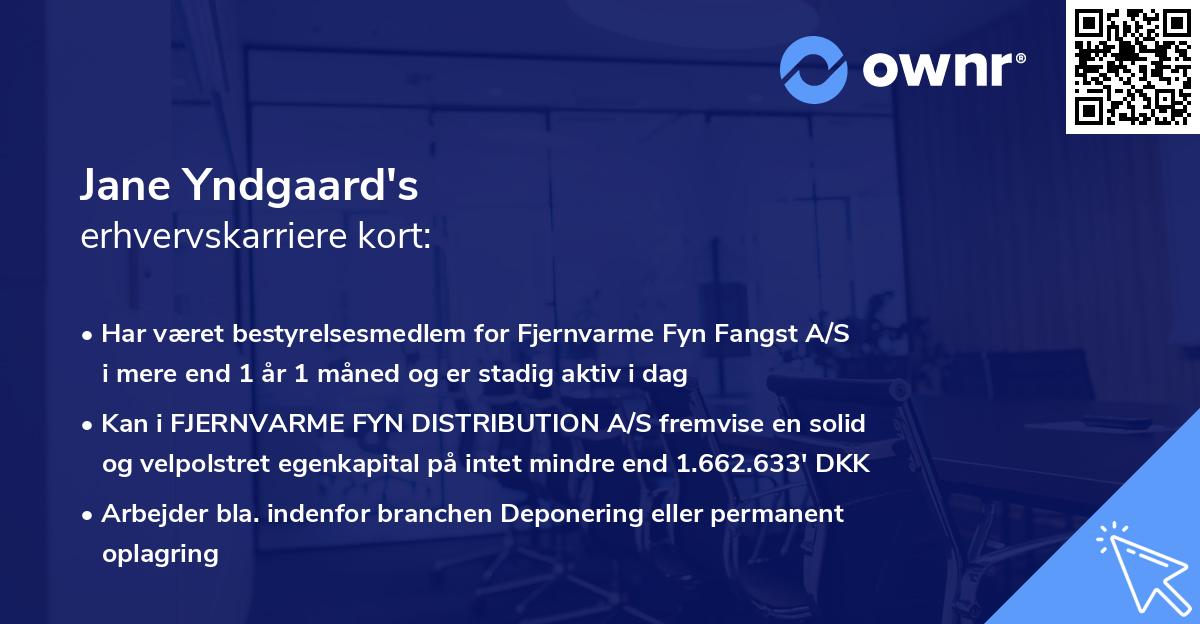 Jane Yndgaard's erhvervskarriere kort