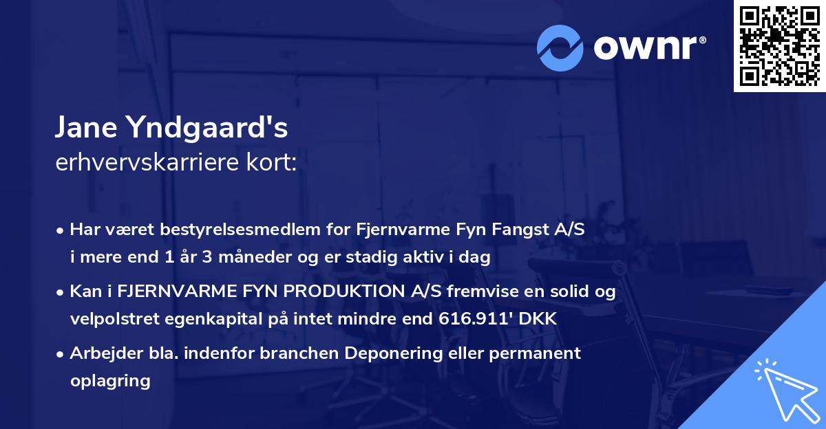 Jane Yndgaard's erhvervskarriere kort