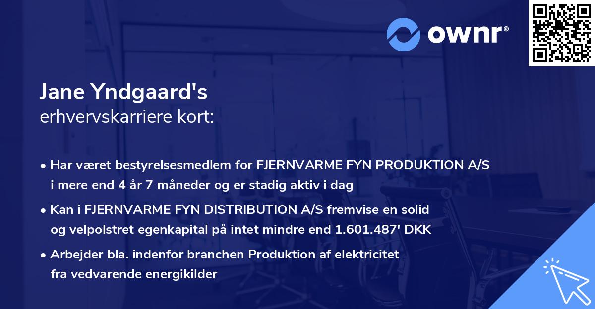 Jane Yndgaard's erhvervskarriere kort