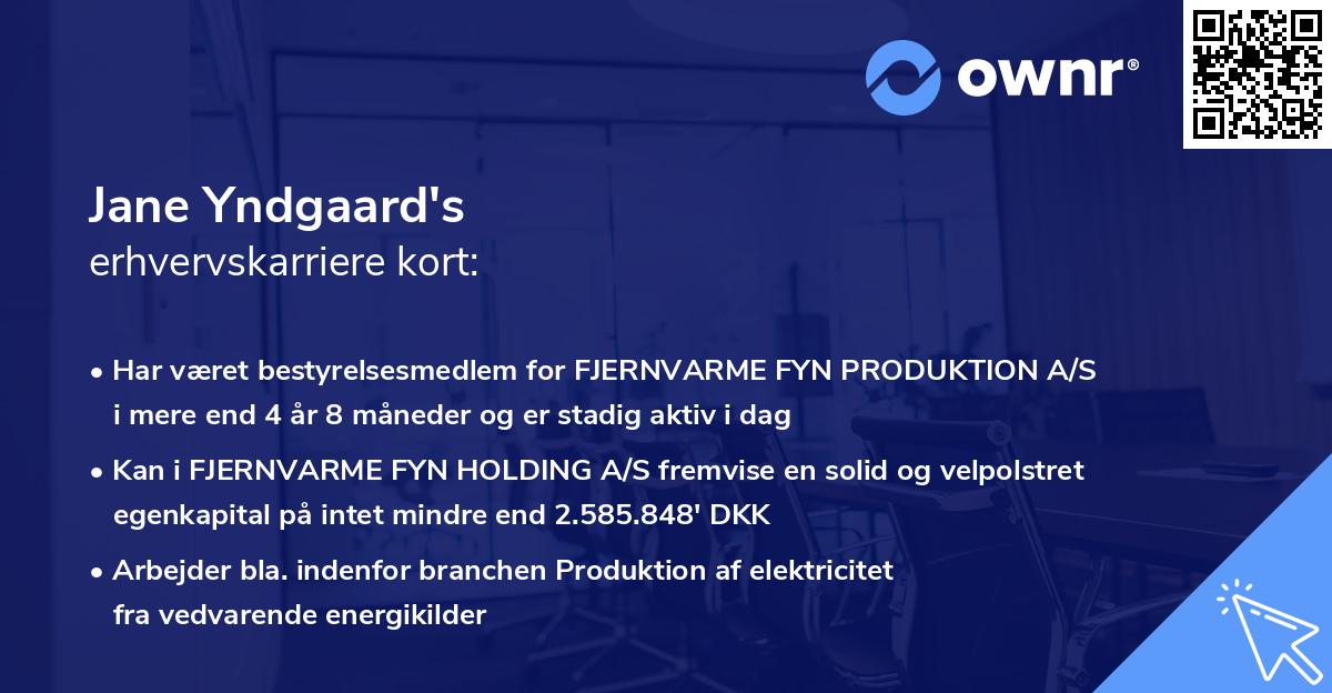 Jane Yndgaard's erhvervskarriere kort