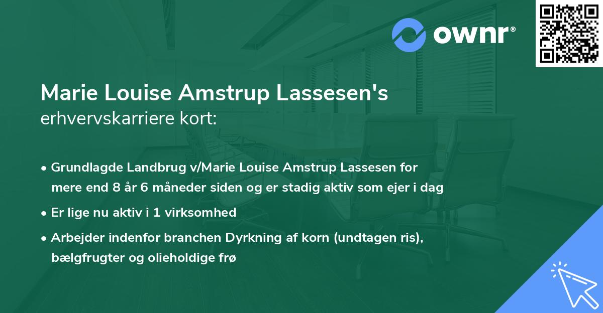 Marie Louise Amstrup Lassesen's erhvervskarriere kort