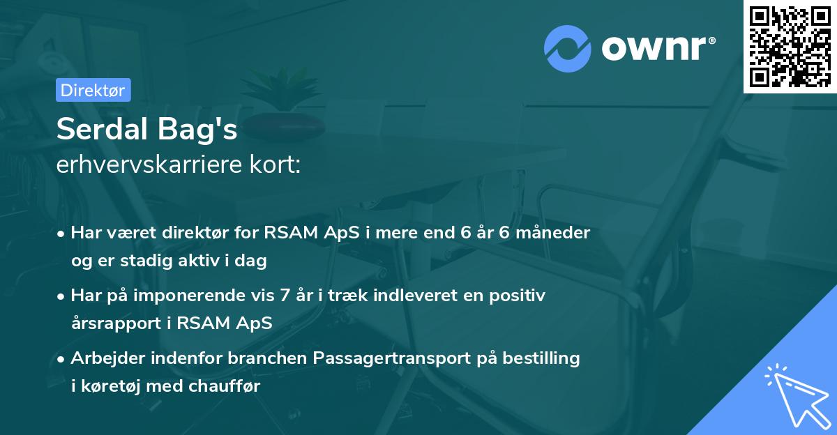 Serdal Bag's erhvervskarriere kort