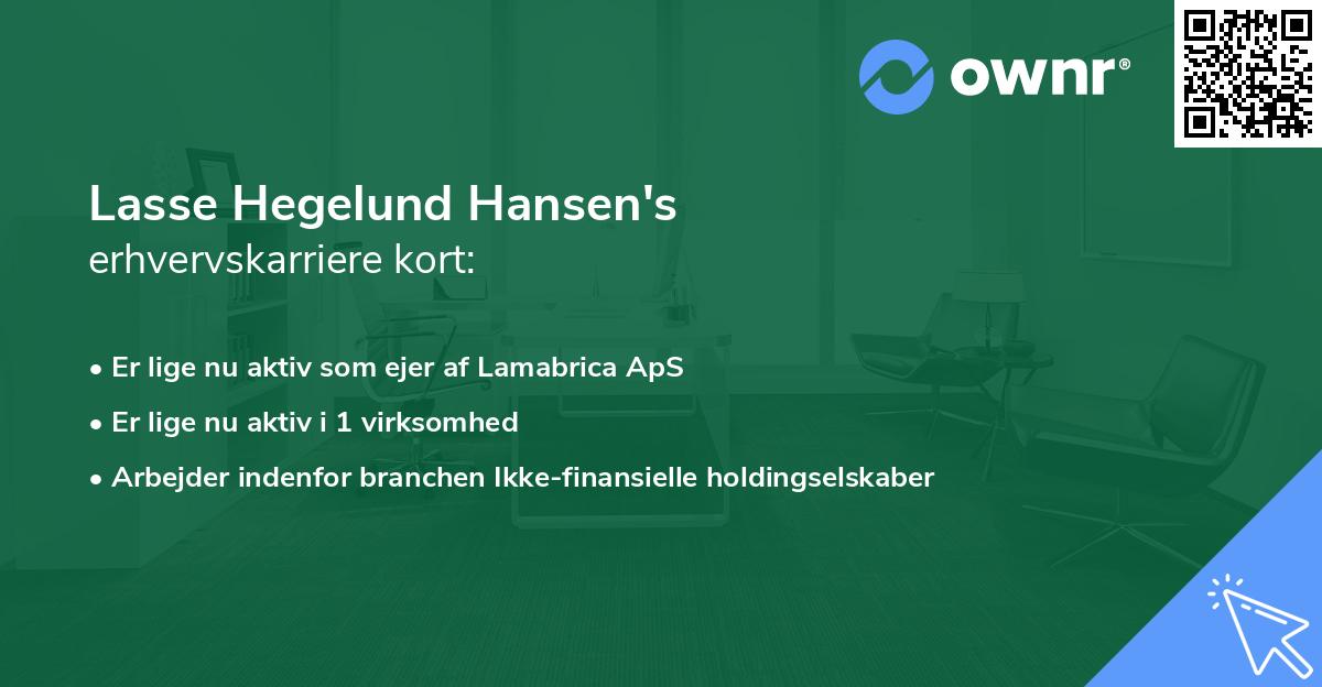 Lasse Hegelund Hansen's erhvervskarriere kort