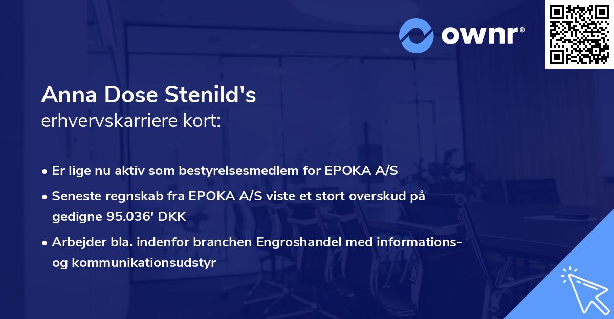 Anna Dose Stenild's erhvervskarriere kort