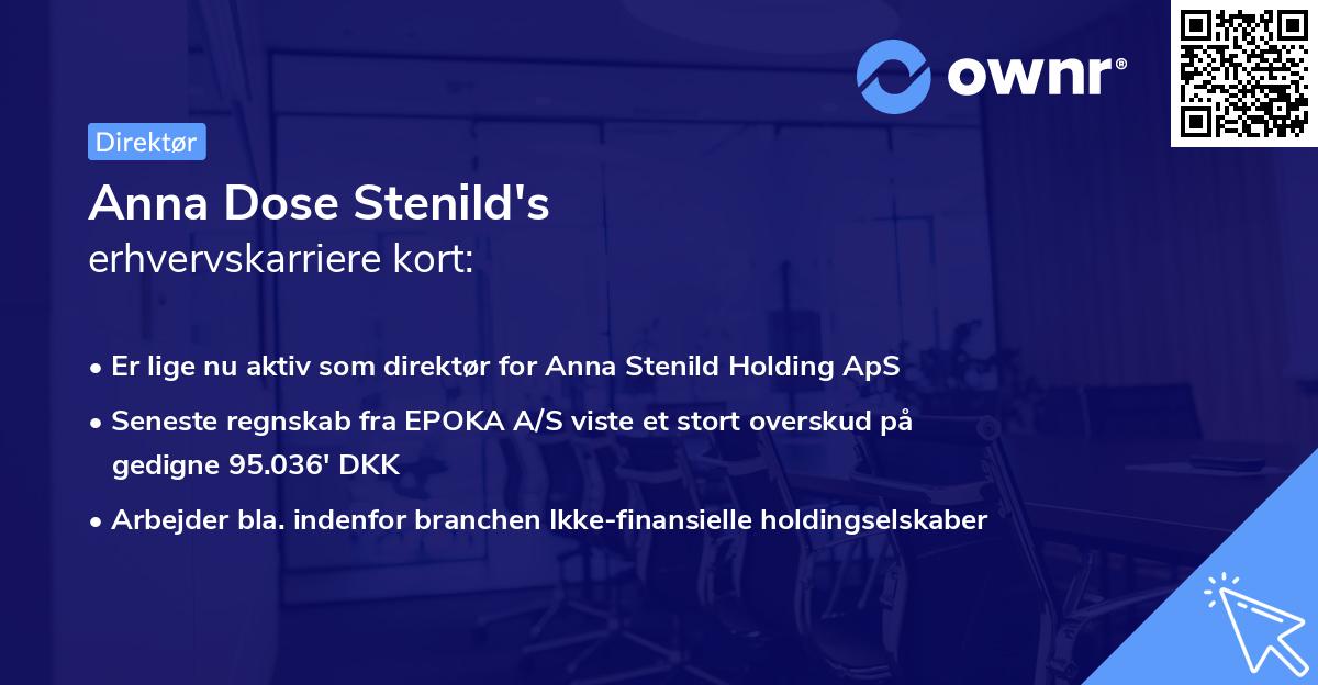 Anna Dose Stenild's erhvervskarriere kort