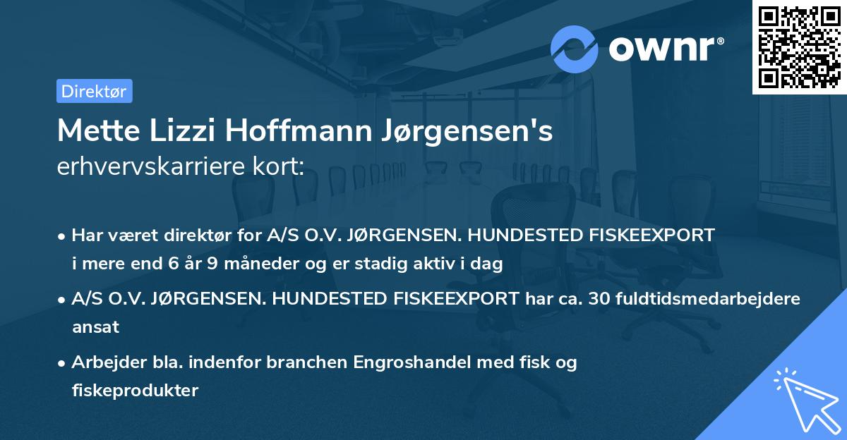 Mette Lizzi Hoffmann Jørgensen's erhvervskarriere kort