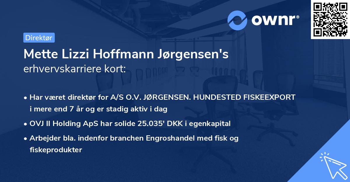 Mette Lizzi Hoffmann Jørgensen's erhvervskarriere kort