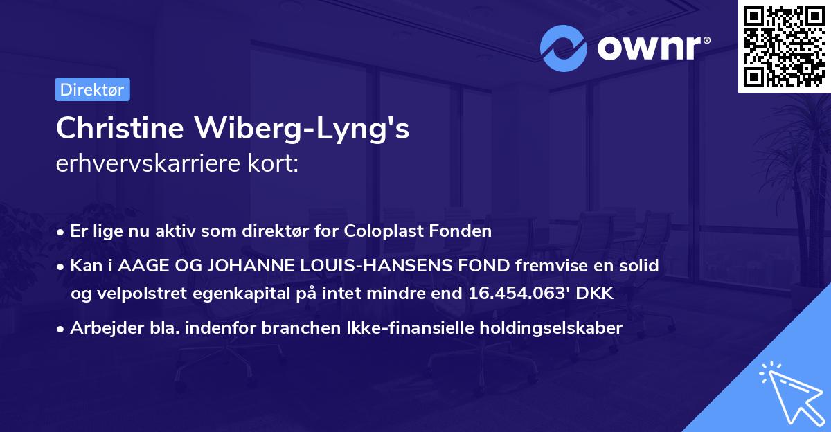 Christine Wiberg-Lyng's erhvervskarriere kort