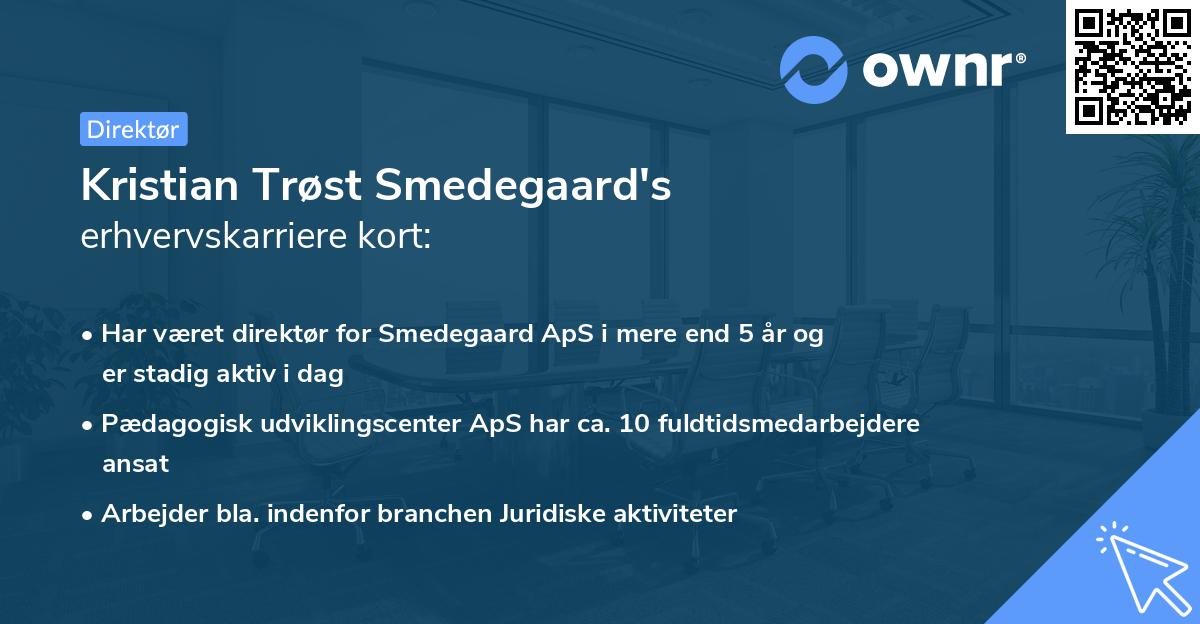Kristian Trøst Smedegaard's erhvervskarriere kort