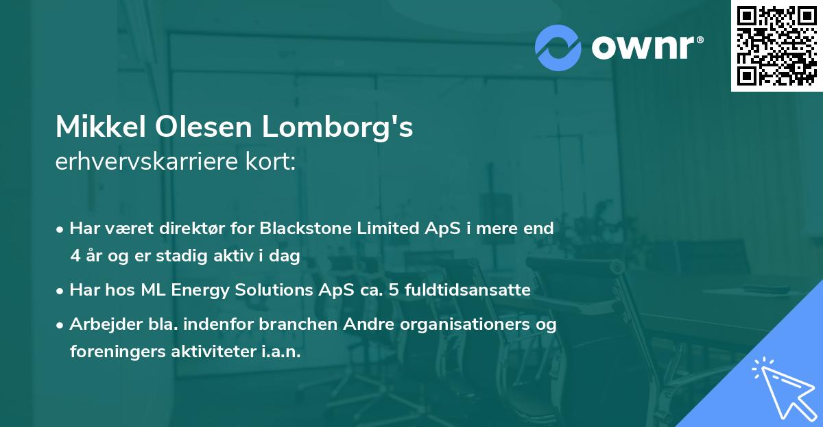 Mikkel Olesen Lomborg's erhvervskarriere kort