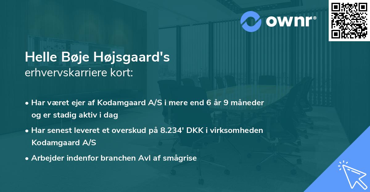 Helle Bøje Højsgaard's erhvervskarriere kort