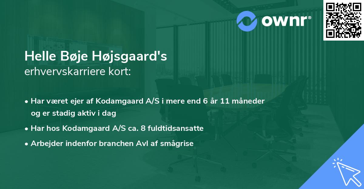 Helle Bøje Højsgaard's erhvervskarriere kort
