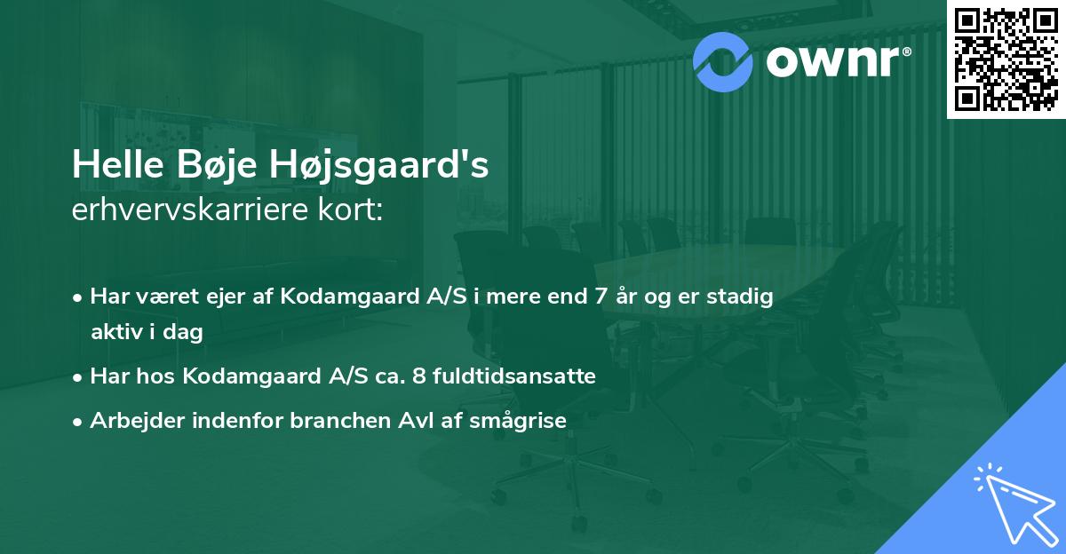 Helle Bøje Højsgaard's erhvervskarriere kort