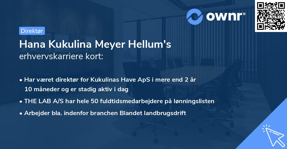 Hana Kukulina Meyer Hellum's erhvervskarriere kort