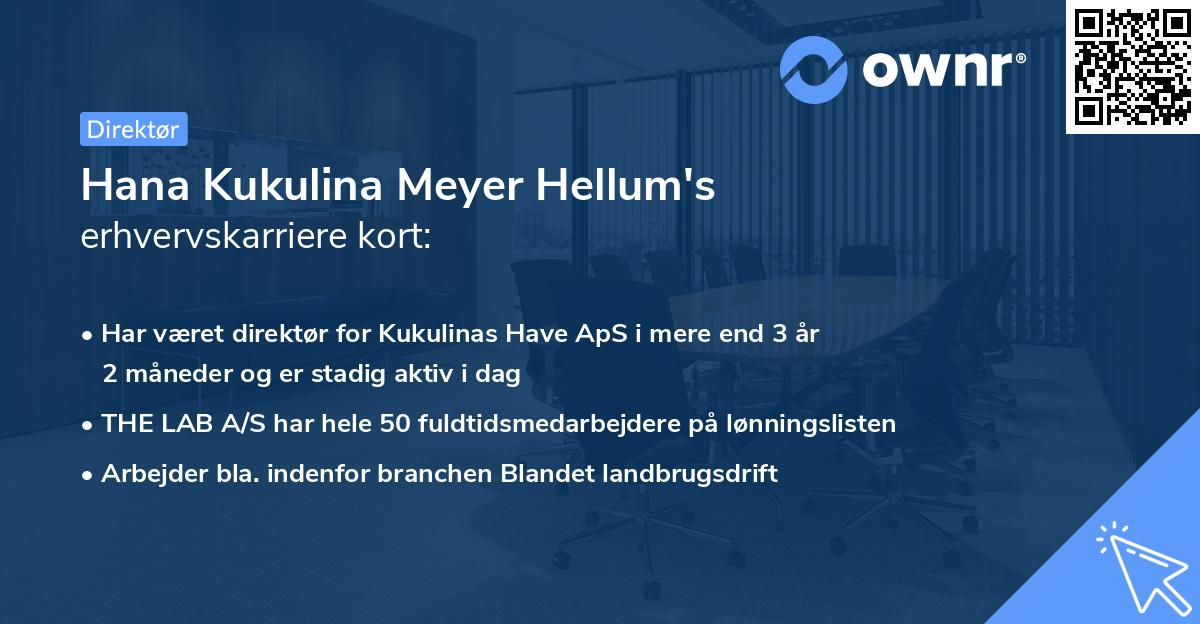 Hana Kukulina Meyer Hellum's erhvervskarriere kort